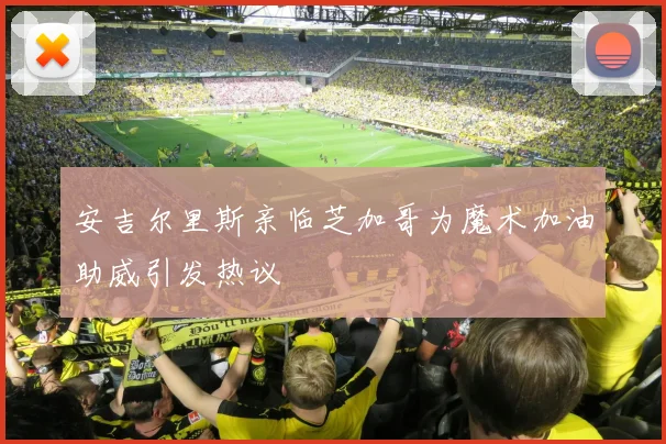 安吉尔里斯亲临芝加哥为魔术加油助威引发热议