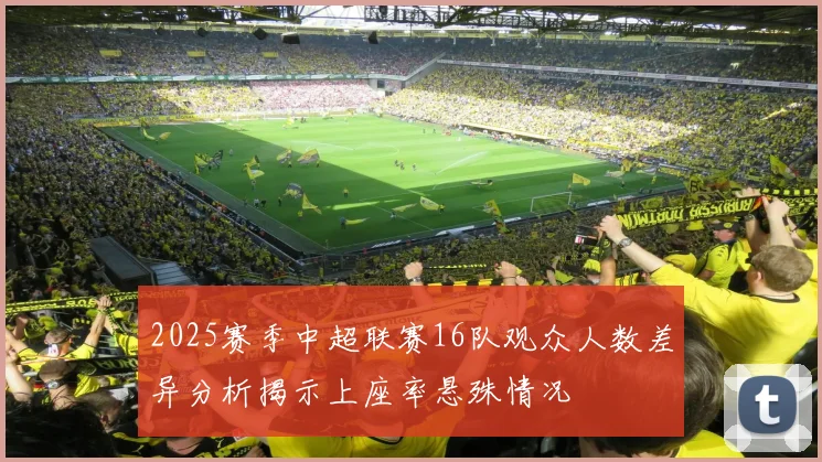 2025赛季中超联赛16队观众人数差异分析揭示上座率悬殊情况
