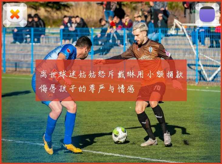 离世球迷姑姑怒斥戴琳用小额捐款侮辱孩子的尊严与情感