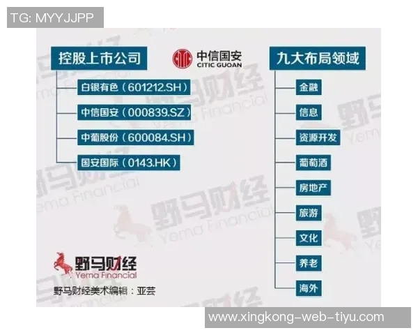 国安面临复杂挑战民企掌控球队难以生存的现状分析